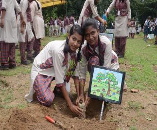 Plantation Festival-(4)-6